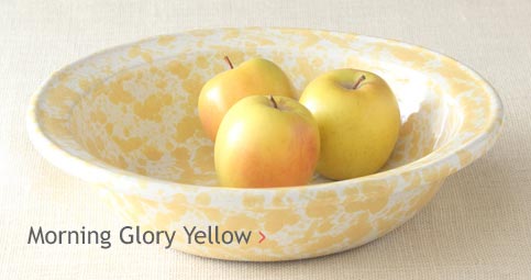 Morning Glory Yellow