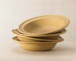 Rimmed Soup/Pasta Bowl