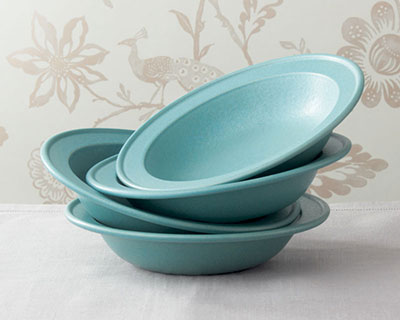Rimmed Soup and Pasta Bowl